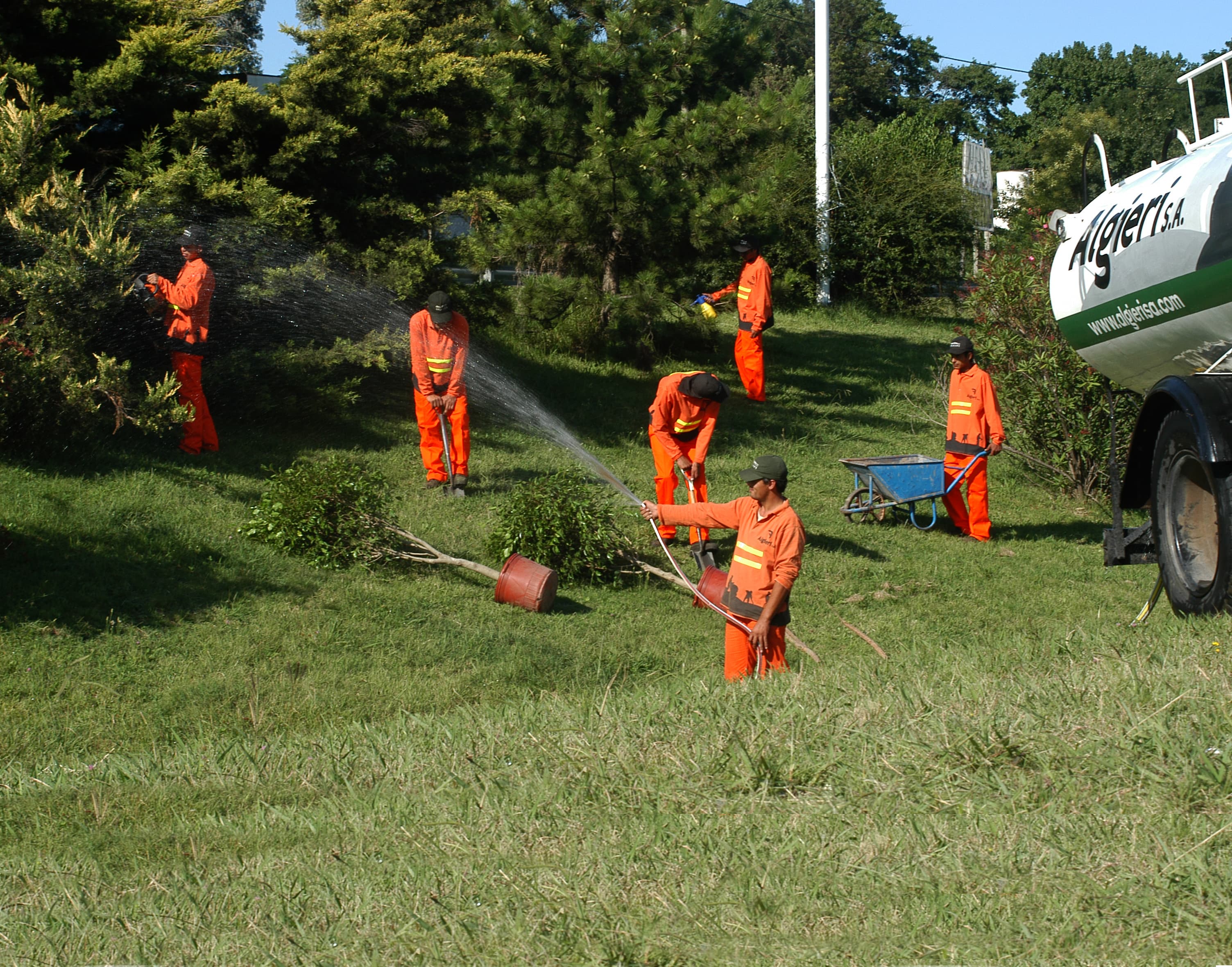 Trabajos de mantenimiento y arbolado